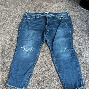Lane Bryant Distressed Ankle Jeans - Blue